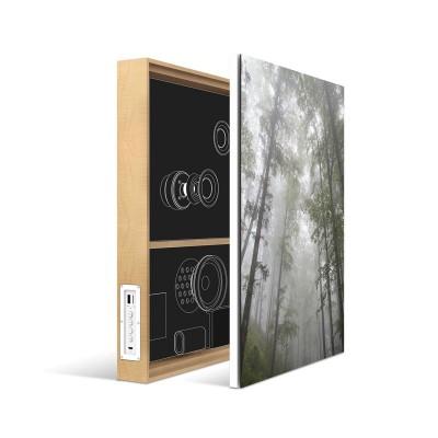 Apple Altavoz Energy Sistem - Bluetooth Frame Speaker Forest - Barato 